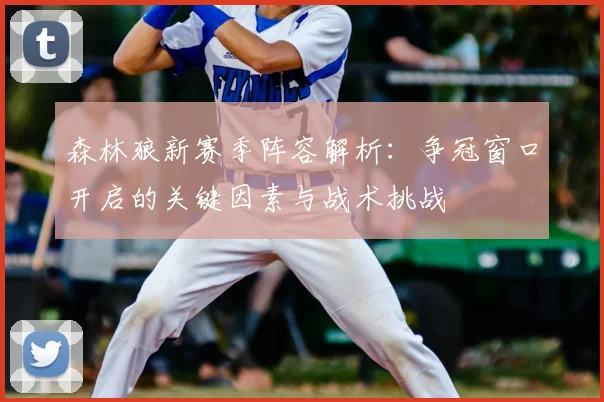 森林狼新赛季阵容解析：争冠窗口开启的关键因素与战术挑战