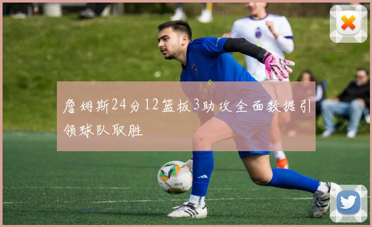 詹姆斯24分12篮板3助攻全面数据引领球队取胜