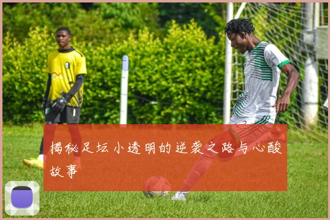 揭秘足坛小透明的逆袭之路与心酸故事